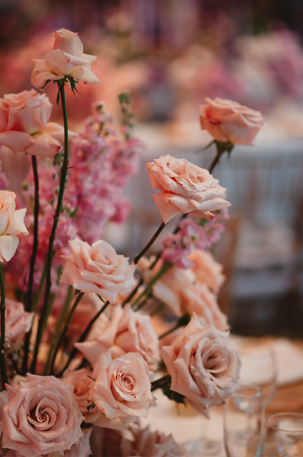 Danial & Ee Pin (decor entry from)