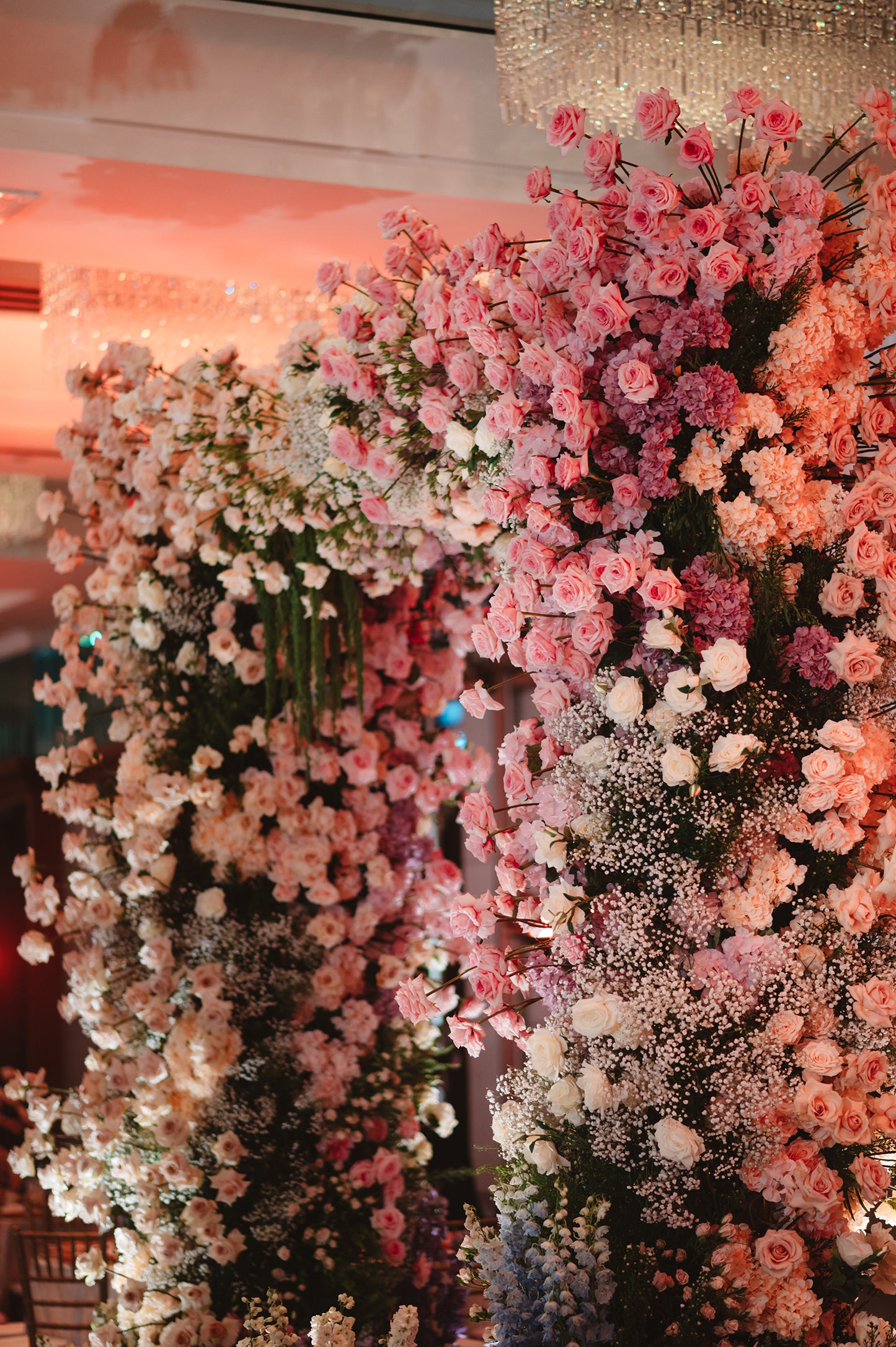 Danial & Ee Pin (decor entry from)