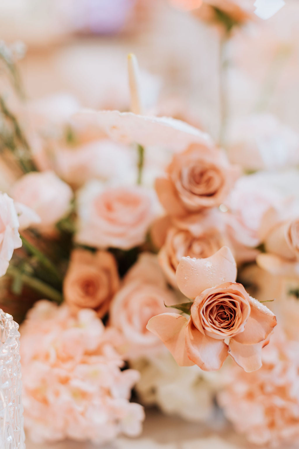 Azrin & Syafiq (decor entry from)