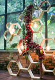 Wooden Hexagon Frames