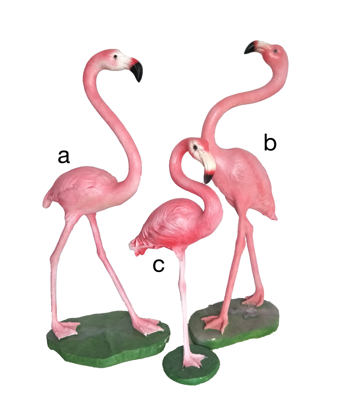 Pink Flamingo