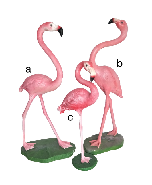 Pink Flamingo