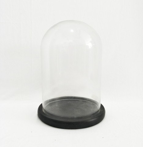Glass Dome