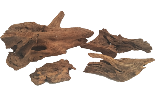 Drift Wood