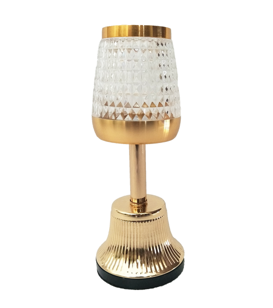 Table Lamp with LED Light