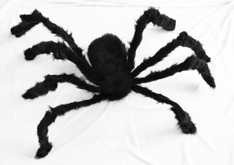 Large Furry Spider