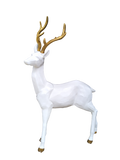 White Deer