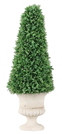 Green Cone Hedge