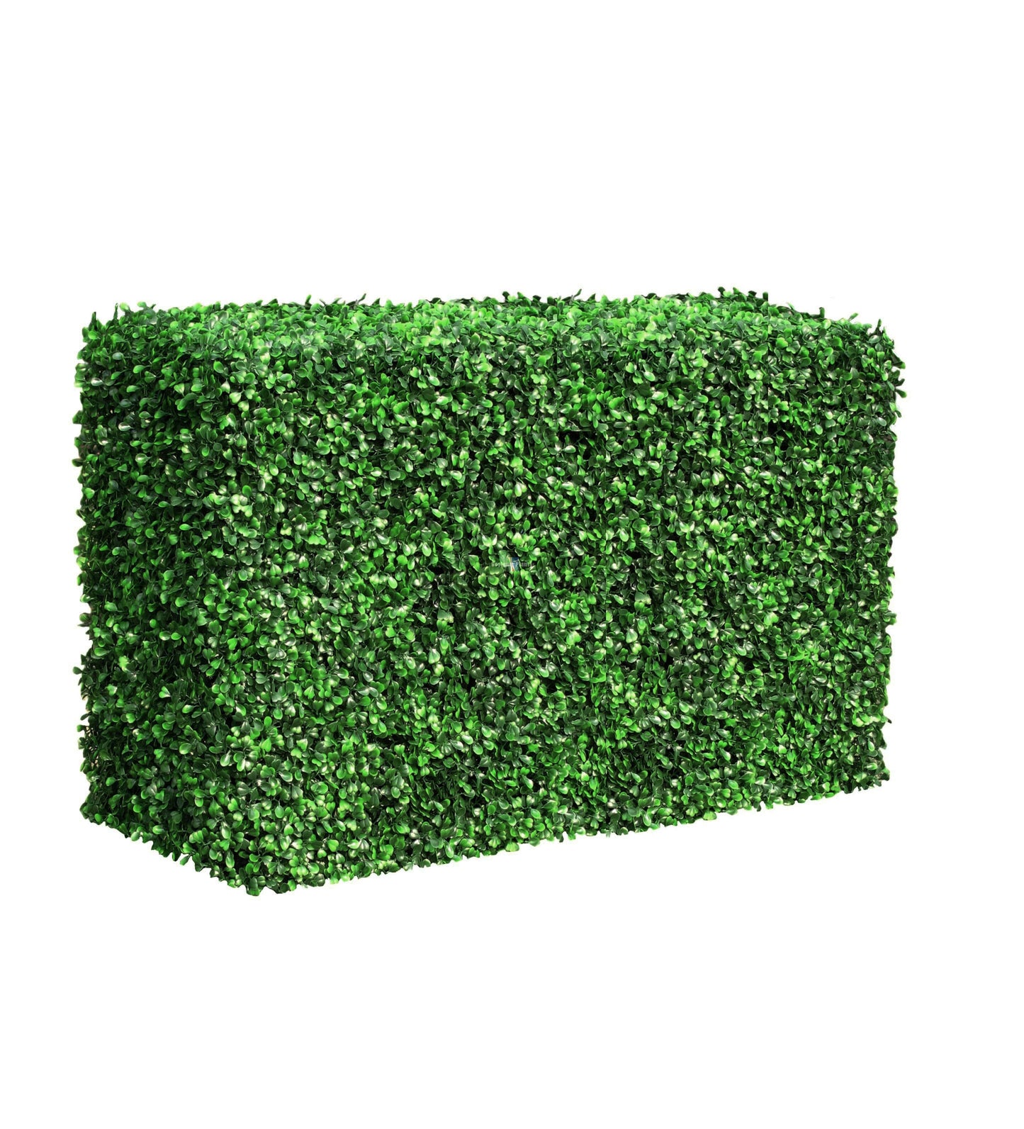 Green Hedge