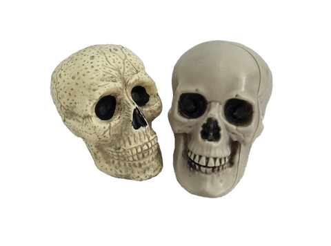 Plastic Skulls
