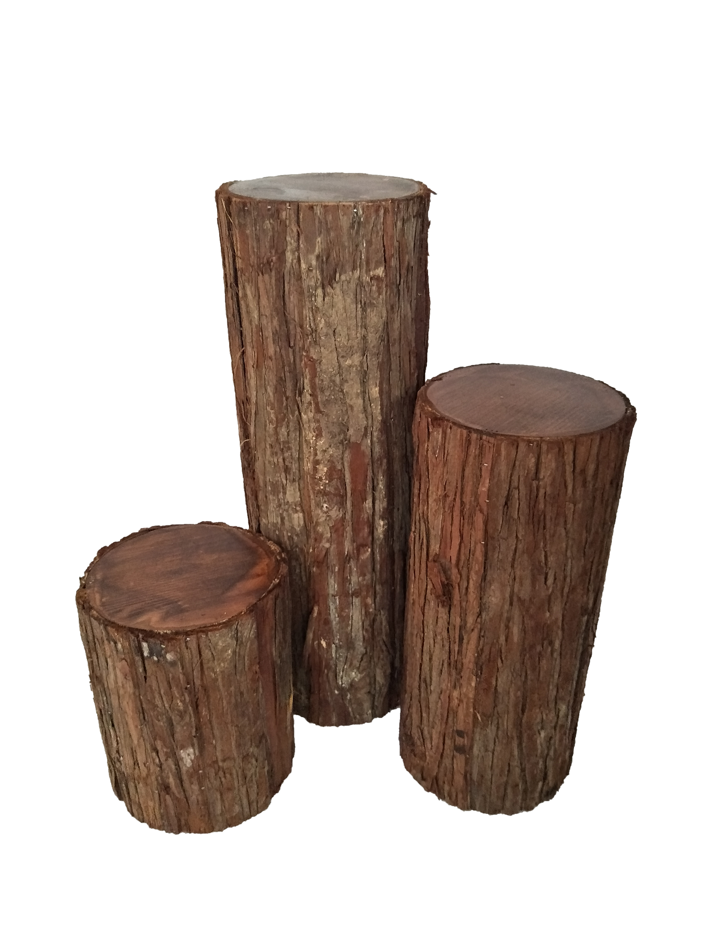 Wood Trunk