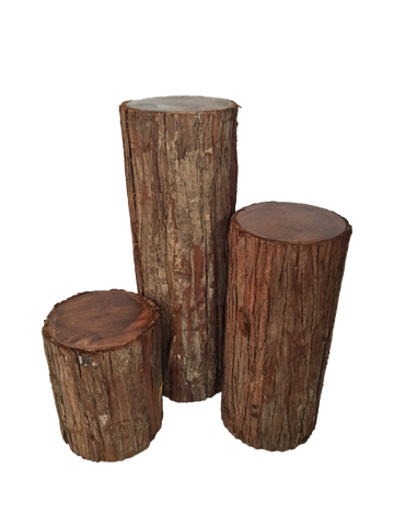 Wood Trunk
